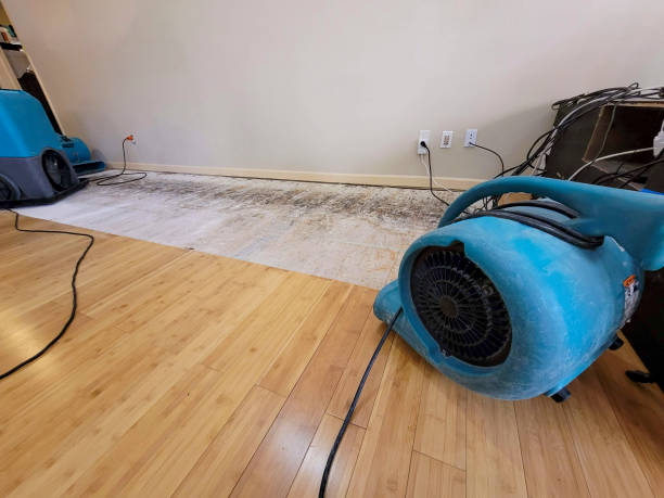 Professional Emergency Water Damage technician working in Burt, MI